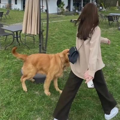 宝窗选婿海报